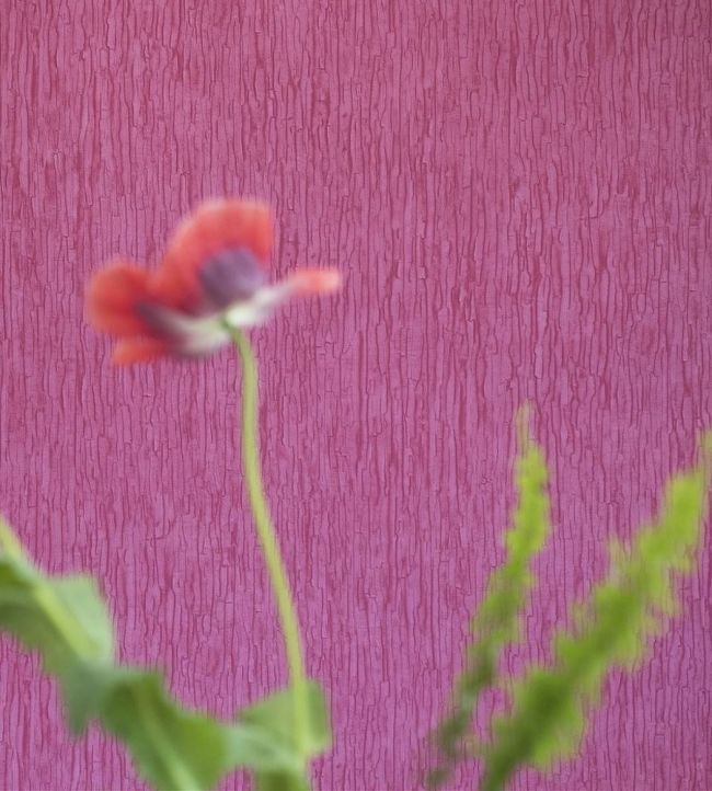 Sashiko Wallpaper - Fuchsia - PDG1040/10 - Designers Guild - Premier Wallcovering
