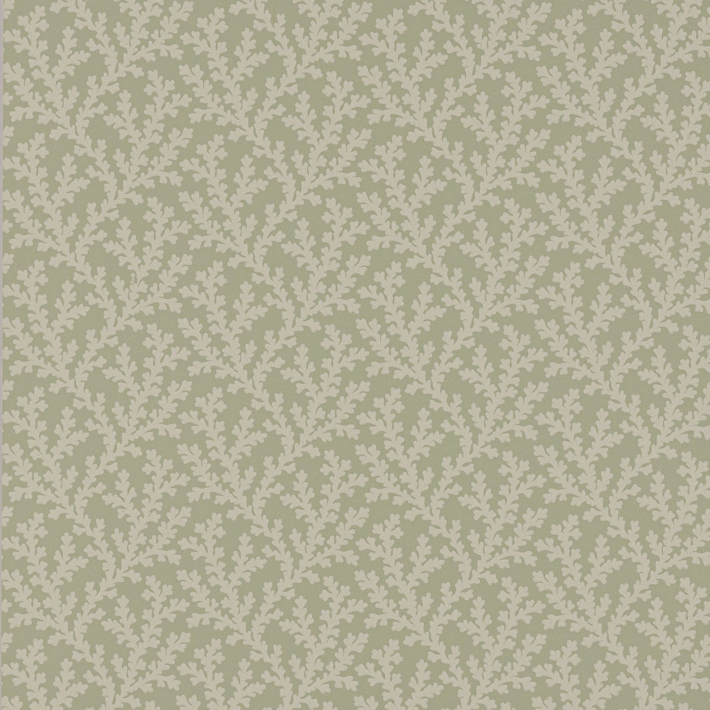 Sea Coral Wallpaper - Willow - Colefax & Fowler - W7020 - 04 - Premier Wallcovering