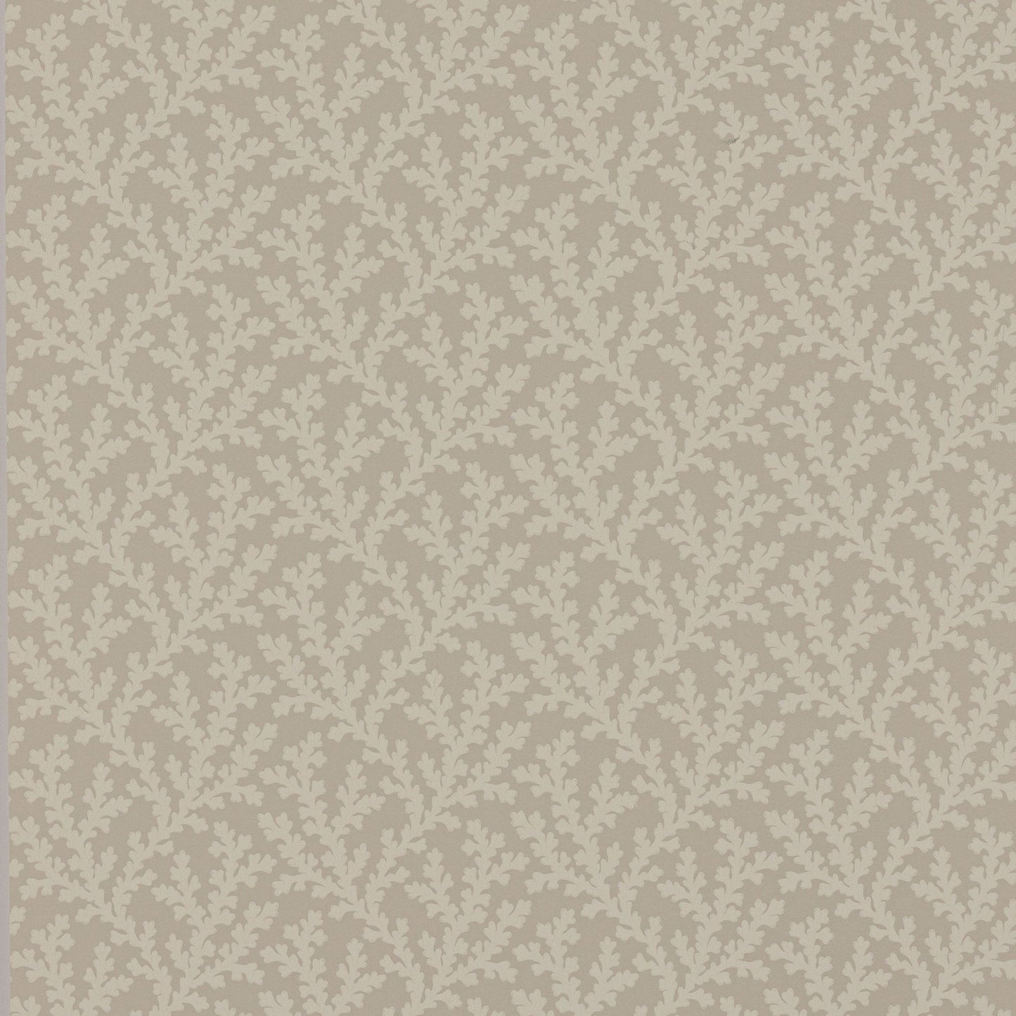 Sea Coral Wallpaper - Beige - Colefax & Fowler - W7020 - 03 - Premier Wallcovering