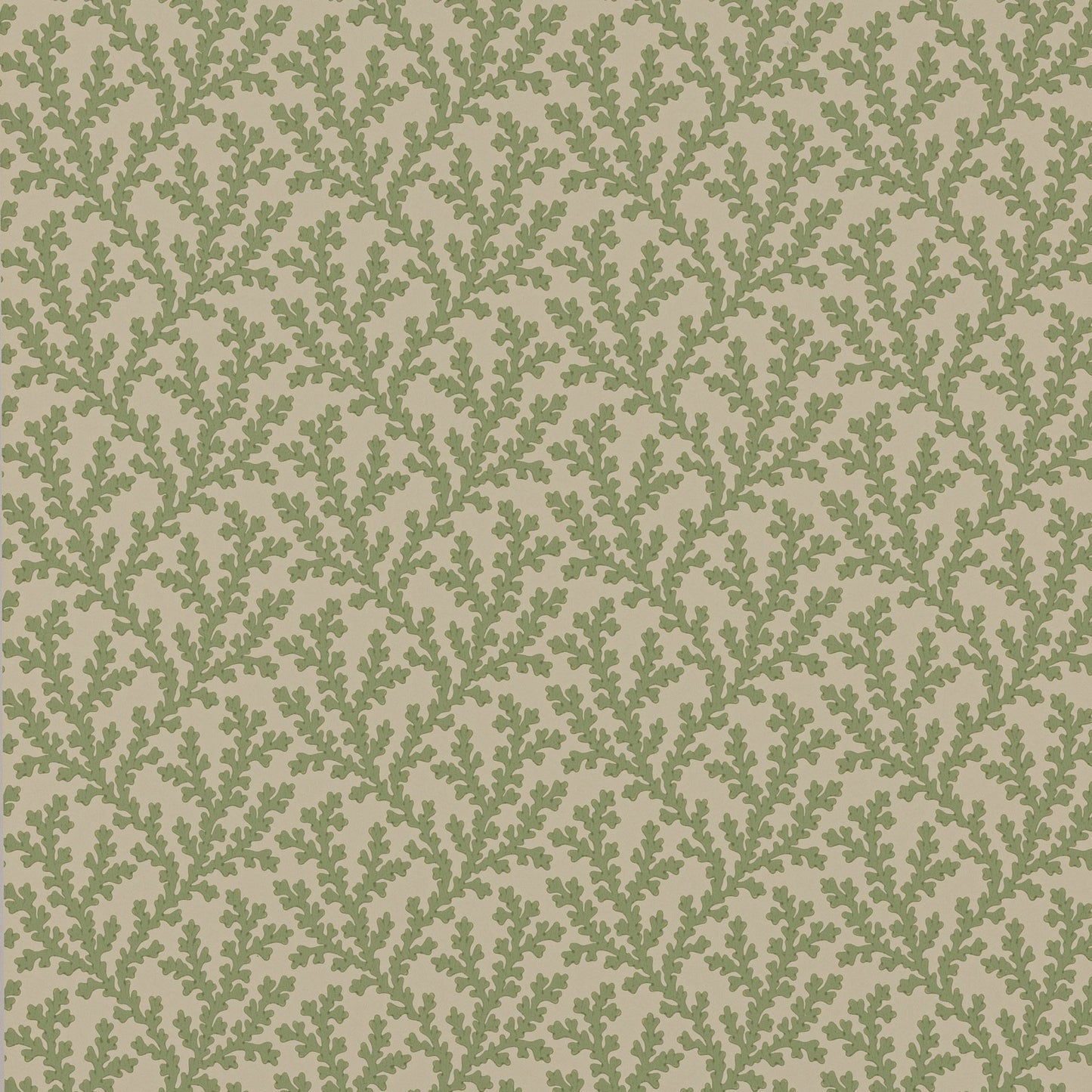 Sea Coral Wallpaper - Green - Colefax & Fowler - W7020 - 01 - Premier Wallcovering