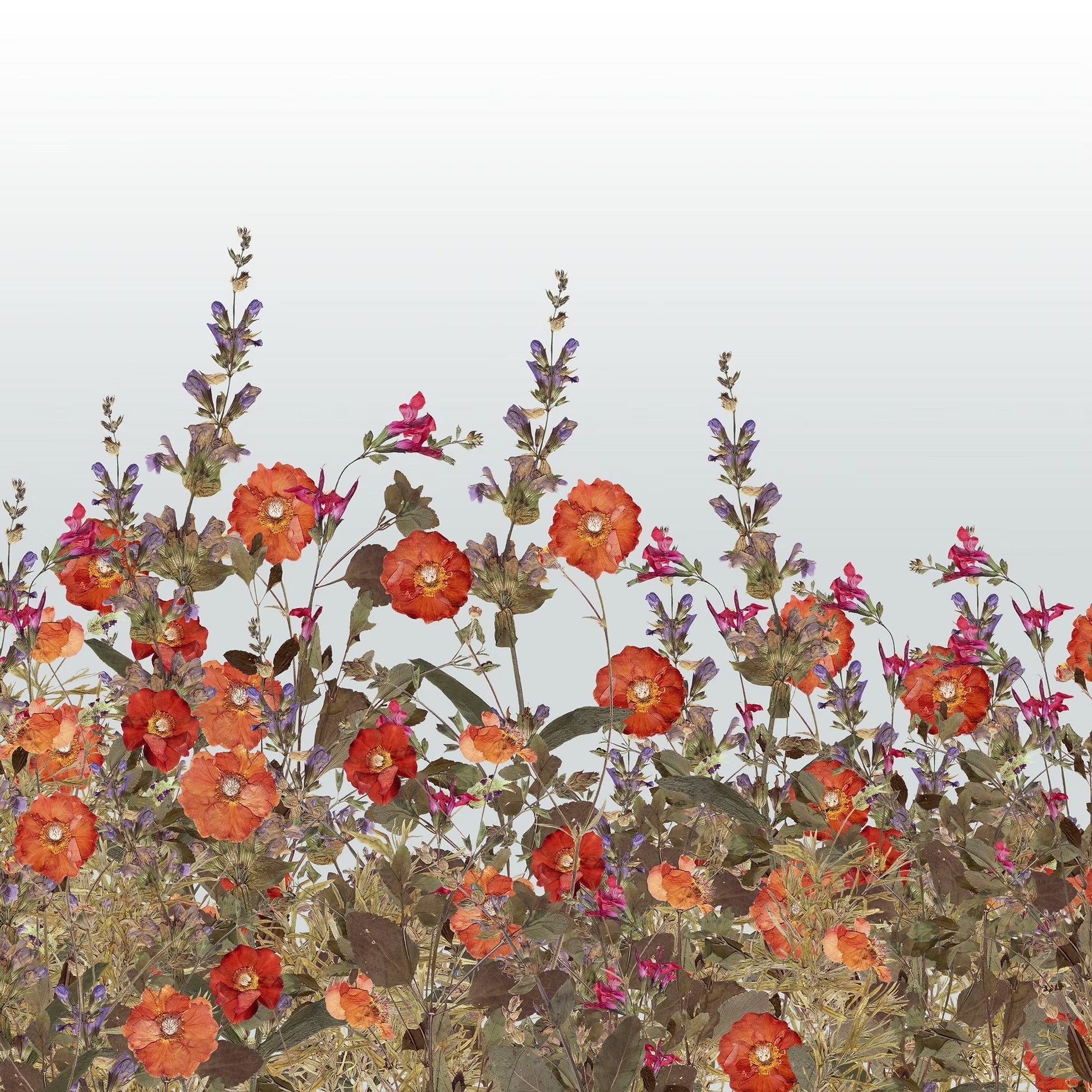 Secret Garden Wallpaper Mural - Mizzle - Fraiche - WP12000 - Premier Wallcovering