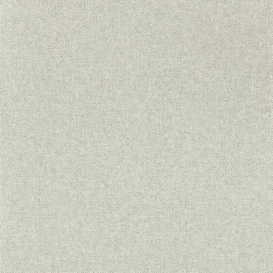 Sessile Plain Wallpaper - Driftwood - DABW217245 - Sanderson - Premier Wallcovering