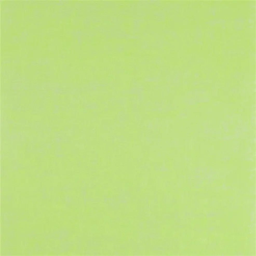 Seta Wallpaper - Lime - P626/10 - Designers Guild - Premier Wallcovering