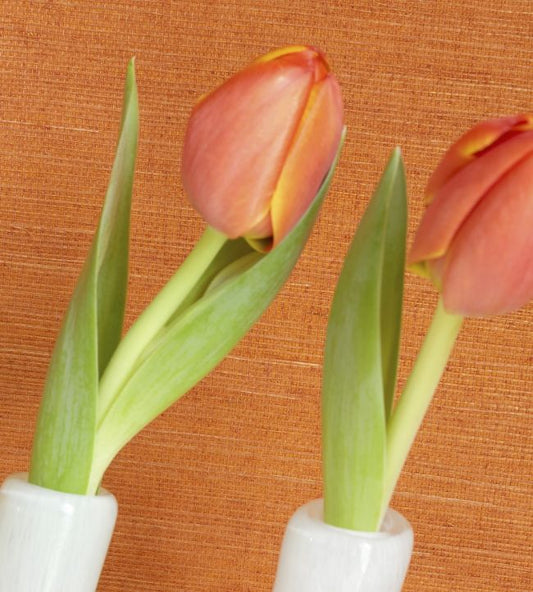 Shang Extra Fine Sisal Wallpaper - Lavender - Thibaut - T72826 - Premier Wallcovering