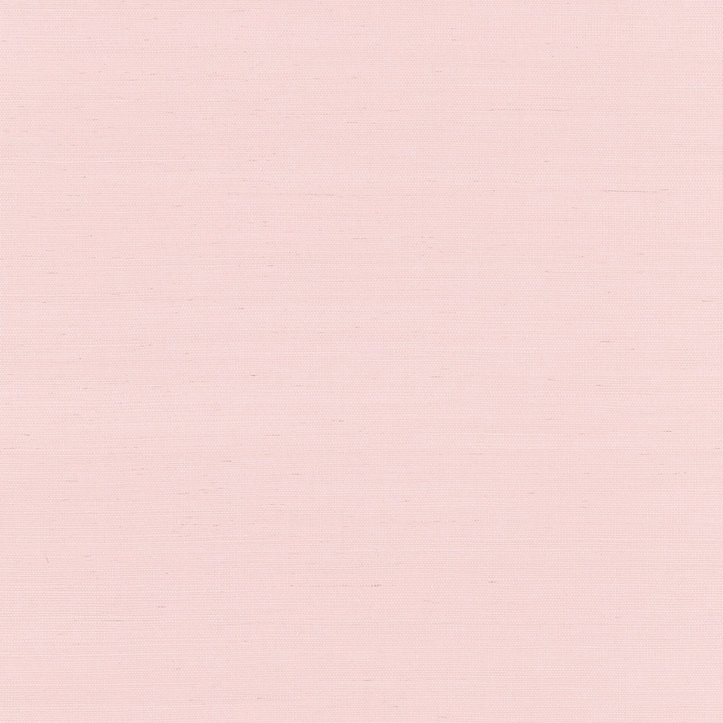 Shang Extra Fine Sisal Wallpaper - Shell - Thibaut - T19626 - Premier Wallcovering