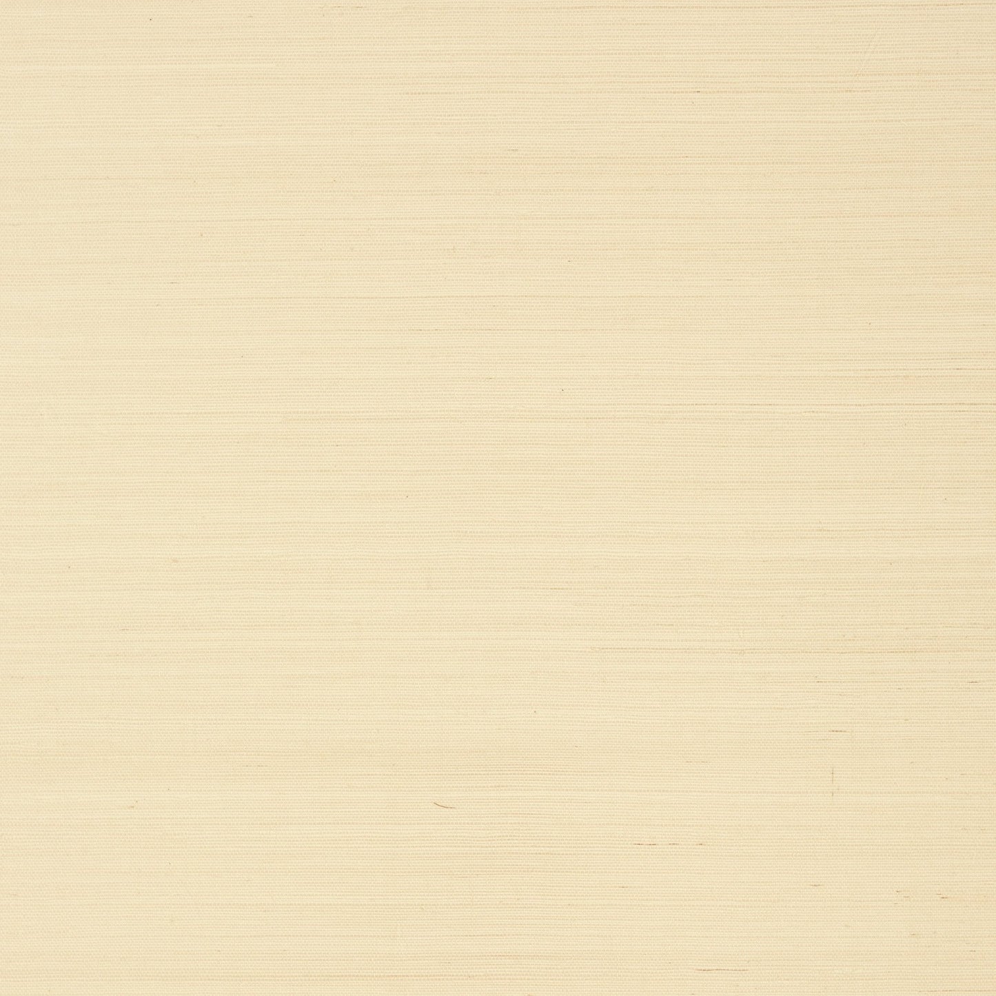 Shang Extra Fine Sisal Wallpaper - Beige - Thibaut - T41159 - Premier Wallcovering