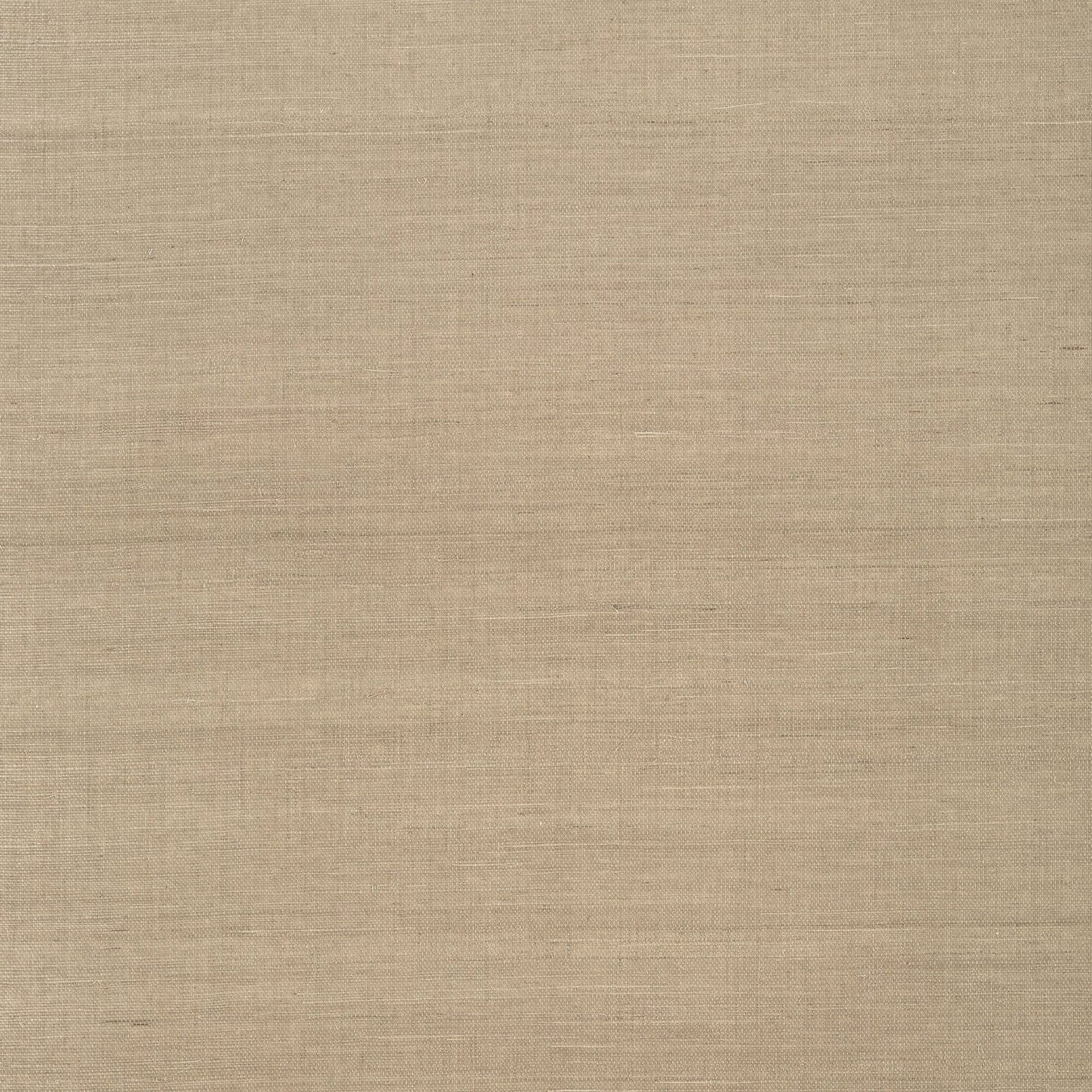 Shang Extra Fine Sisal Wallpaper - Linen - Thibaut - T41160 - Premier Wallcovering