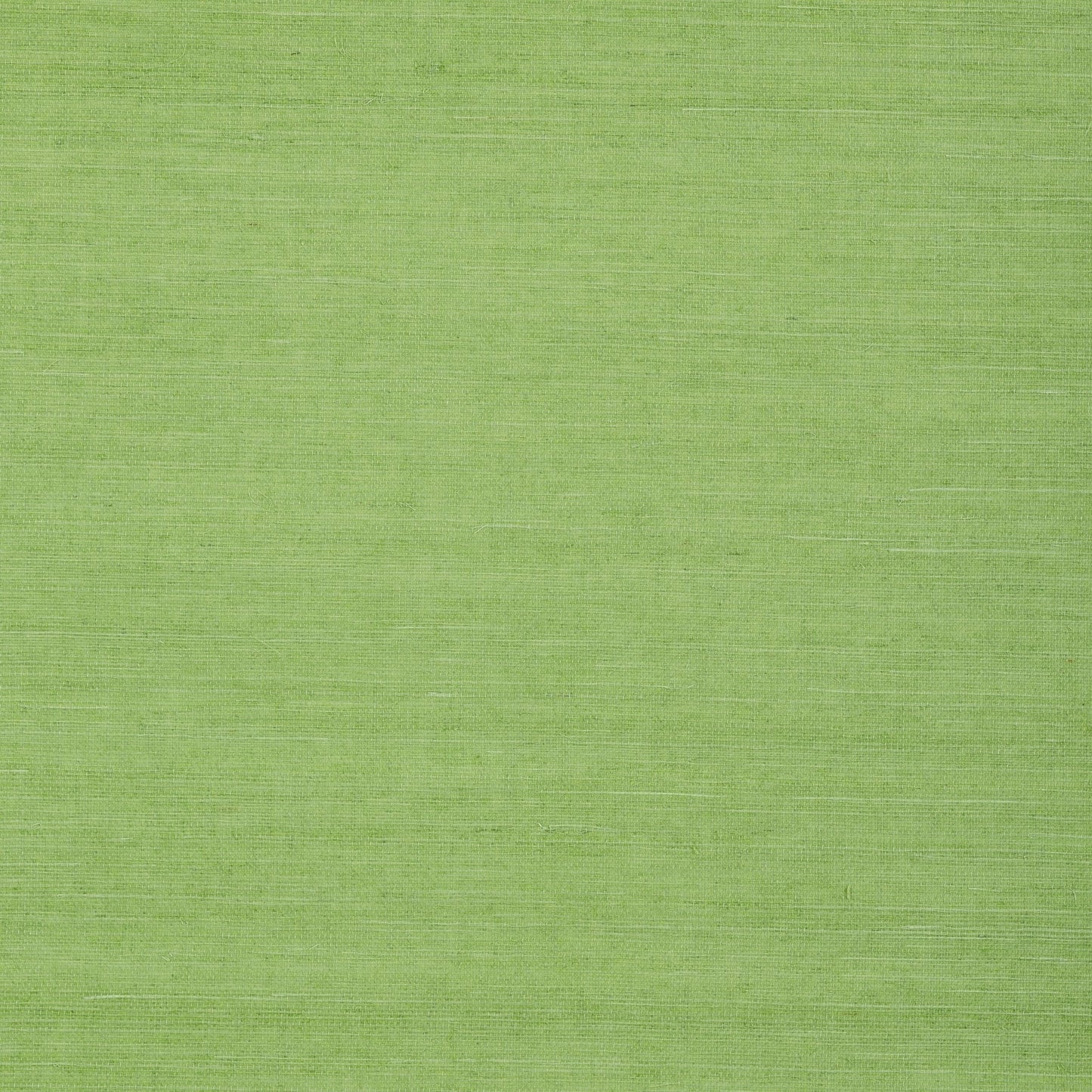 Shang Extra Fine Sisal Wallpaper - Kelly Green - Thibaut - T72832 - Premier Wallcovering