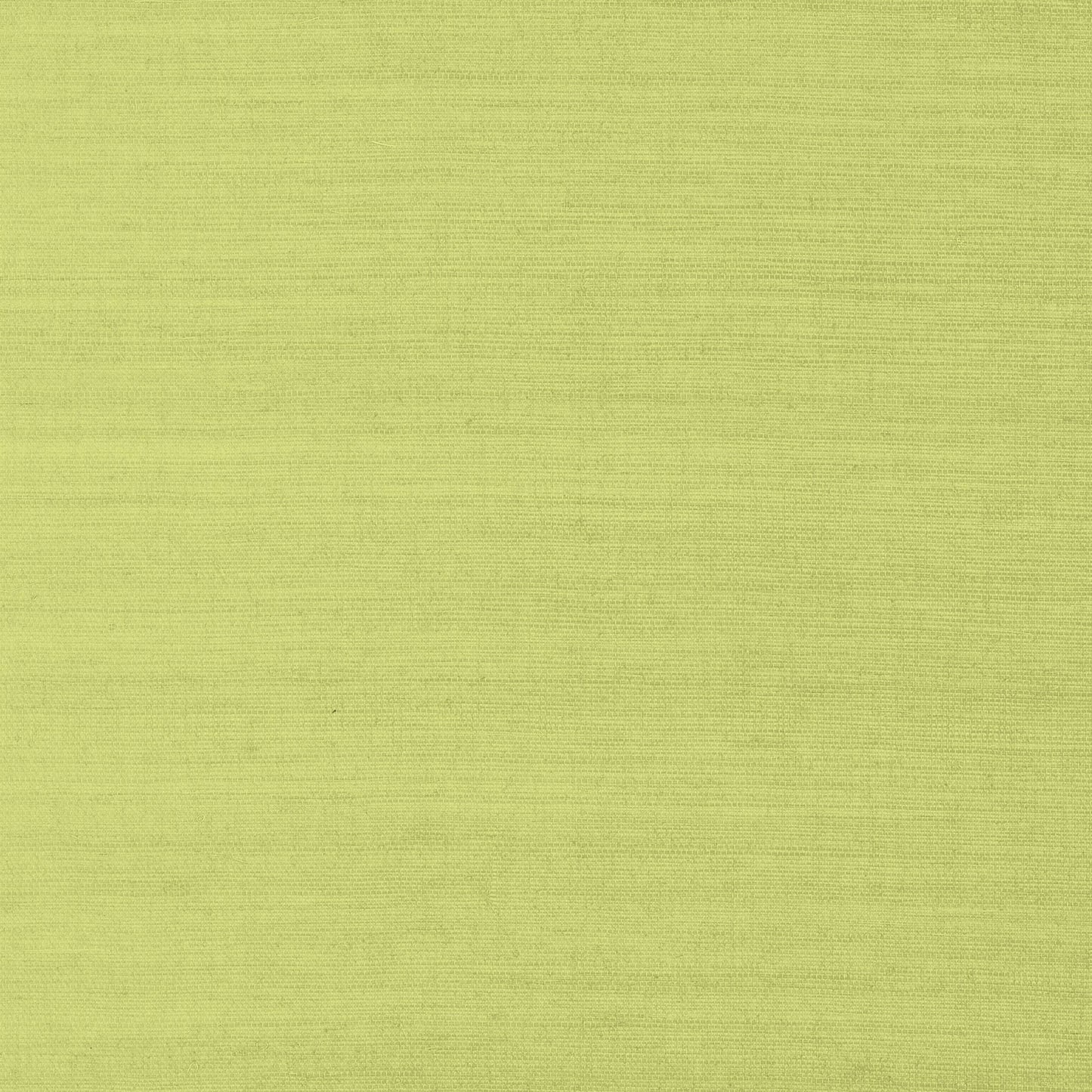 Shang Extra Fine Sisal Wallpaper - Green - Thibaut - T41181 - Premier Wallcovering