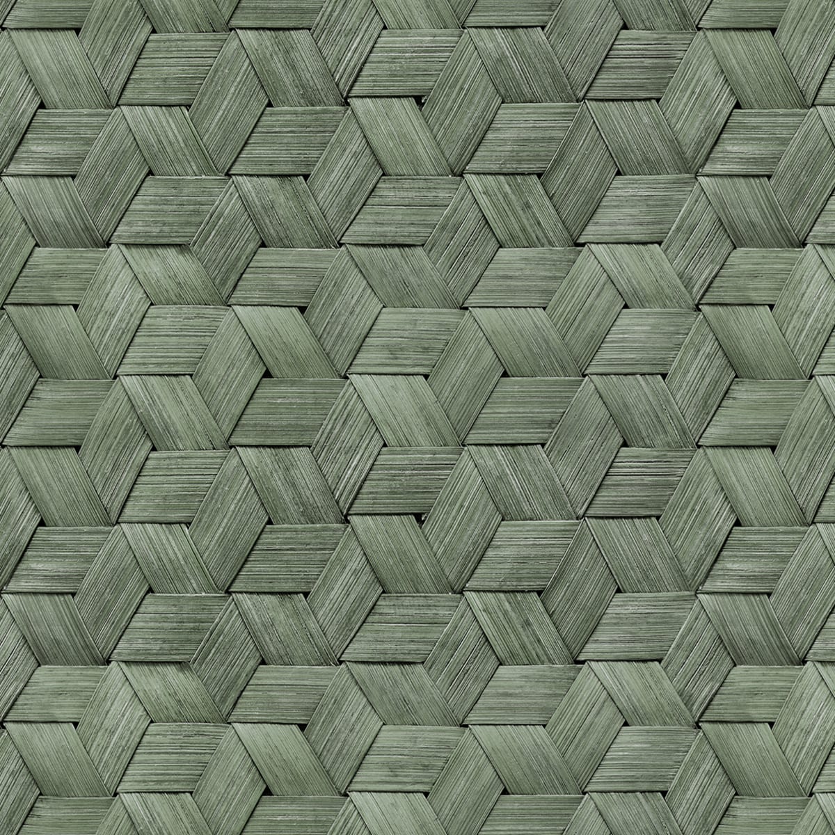 Small Birch Bark Braids Wallpaper - Forest Green - Rebel Walls - R18537 - Premier Wallcovering