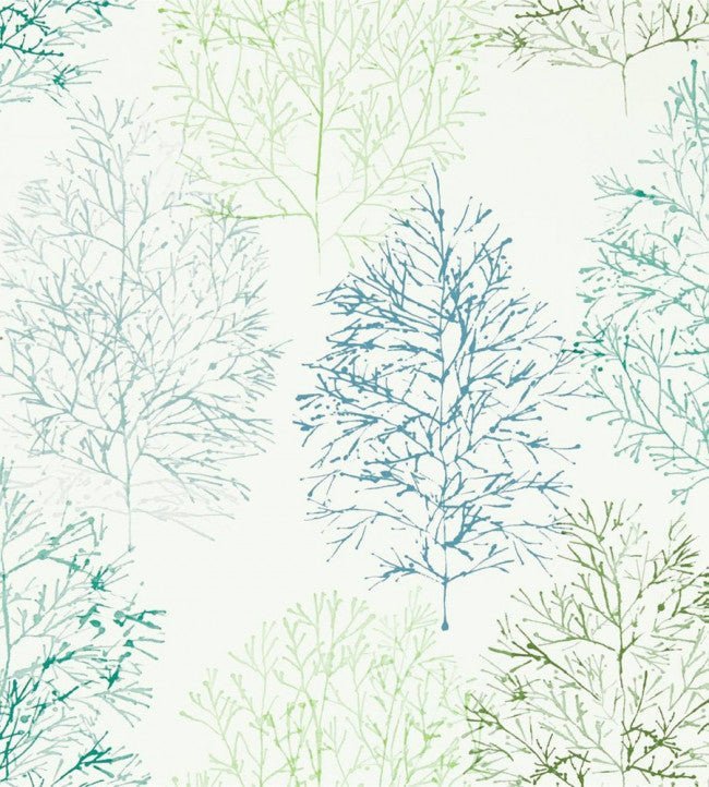 Soetsu Wallpaper - Kiwi / Slate - NZAW112002 - Scion - Premier Wallcovering