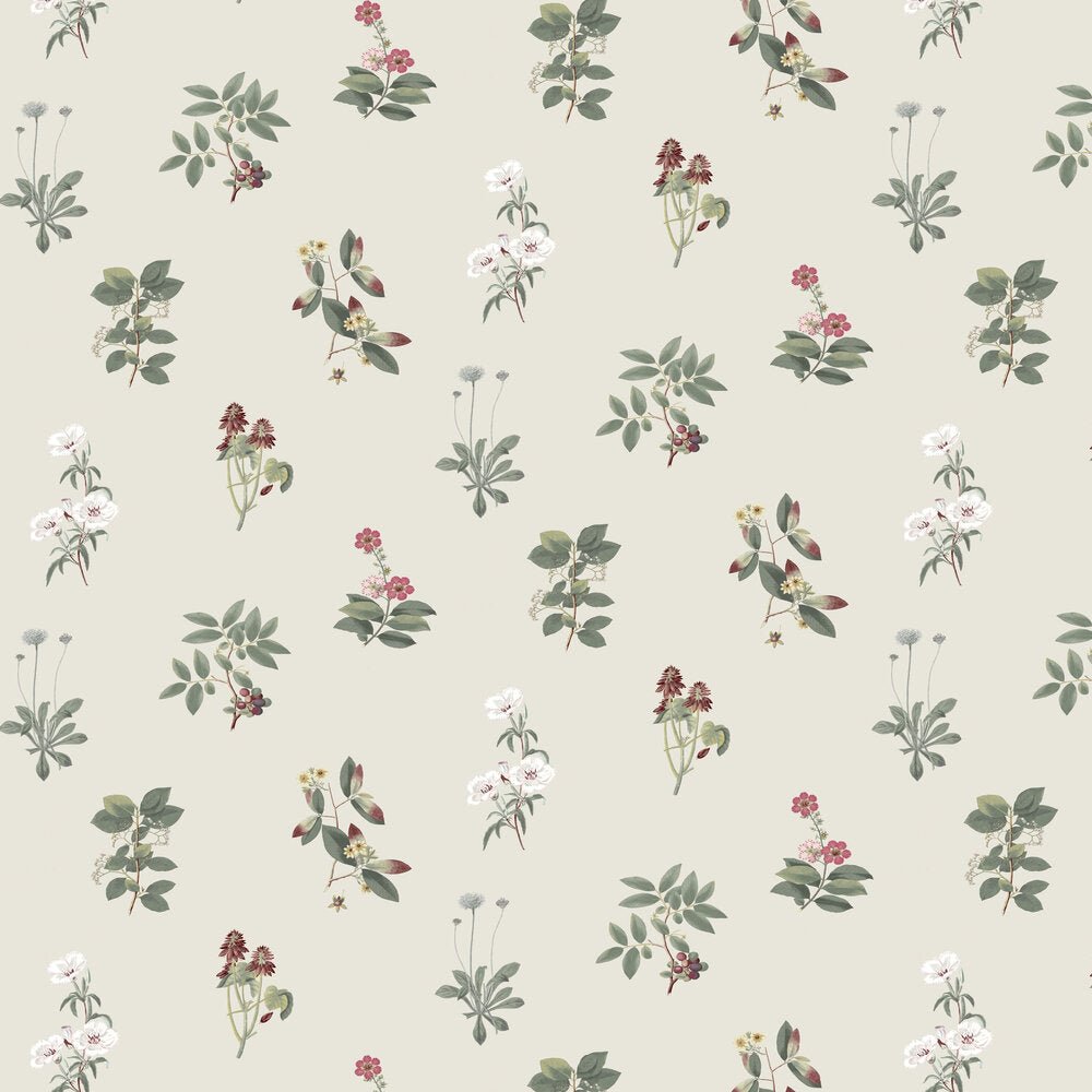 Somerton Wallpaper - Classic Ivory - Timothy Wilman - TW2564 - Premier Wallcovering