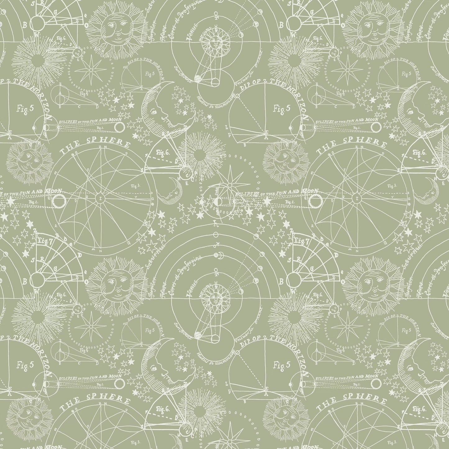 Stargazer Wallpaper - Sage - Fraiche - WP11002 - Premier Wallcovering