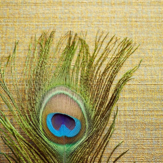 Static Masterpiece Wallpaper - Gold - Eijffinger - 358050 - Premier Wallcovering