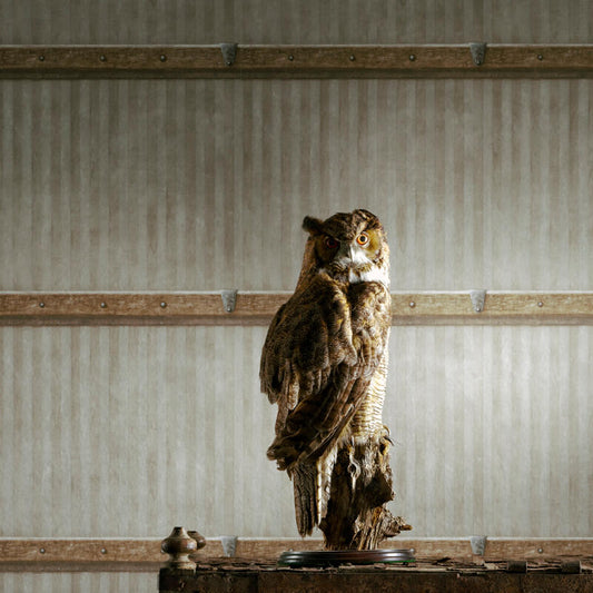 Steamer Wallpaper - Leather - Andrew Martin - ATTSTLE - Premier Wallcovering