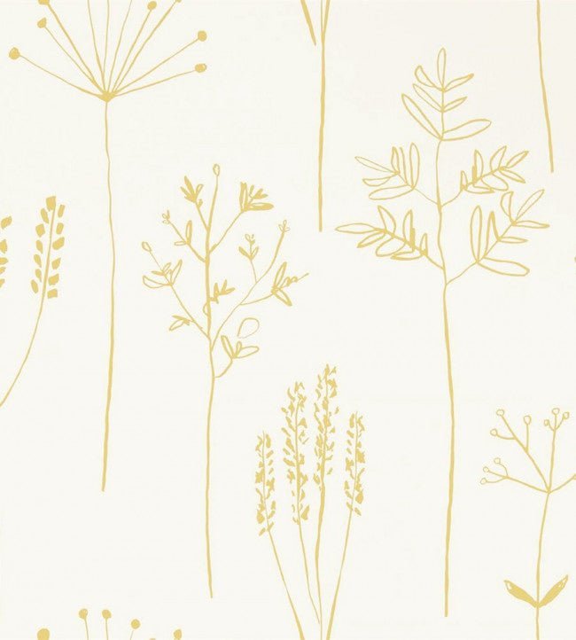 Stipa Wallpaper - Honey - NZAW112021 - Scion - Premier Wallcovering