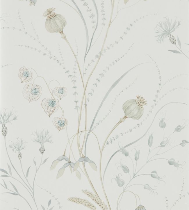 Summer Harvest Wallpaper - Silver/Chalk - DEBB216498 - Sanderson - Premier Wallcovering