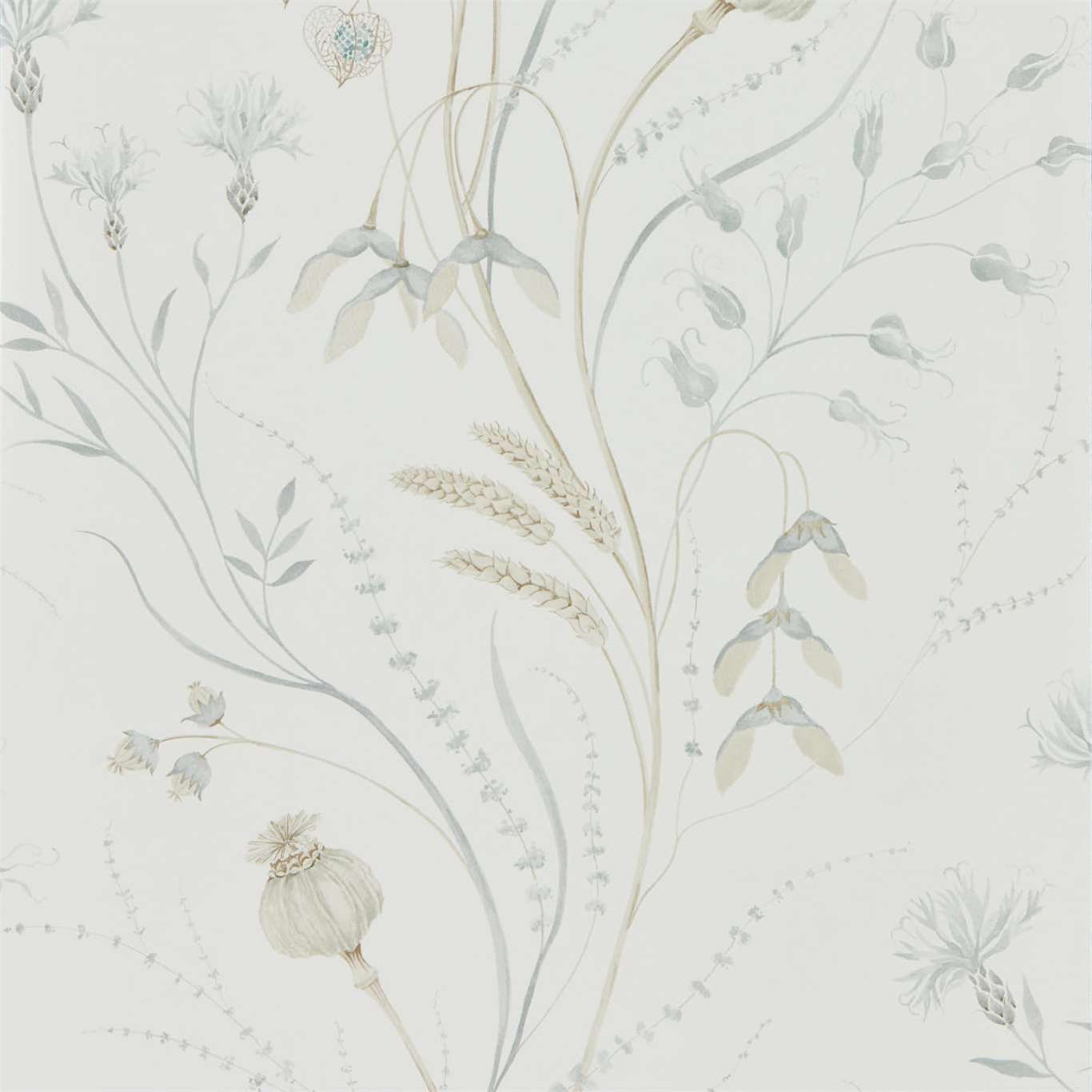 Summer Harvest Wallpaper - Silver/Chalk - Sanderson - DEBB216498 - Premier Wallcovering