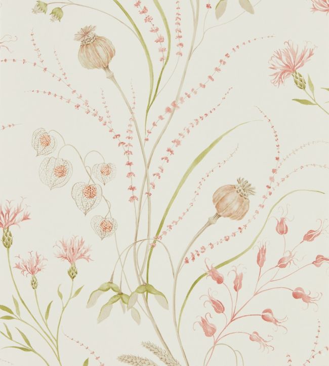 Summer Harvest Wallpaper - Claret/Olive - DEBB216495 - Sanderson - Premier Wallcovering