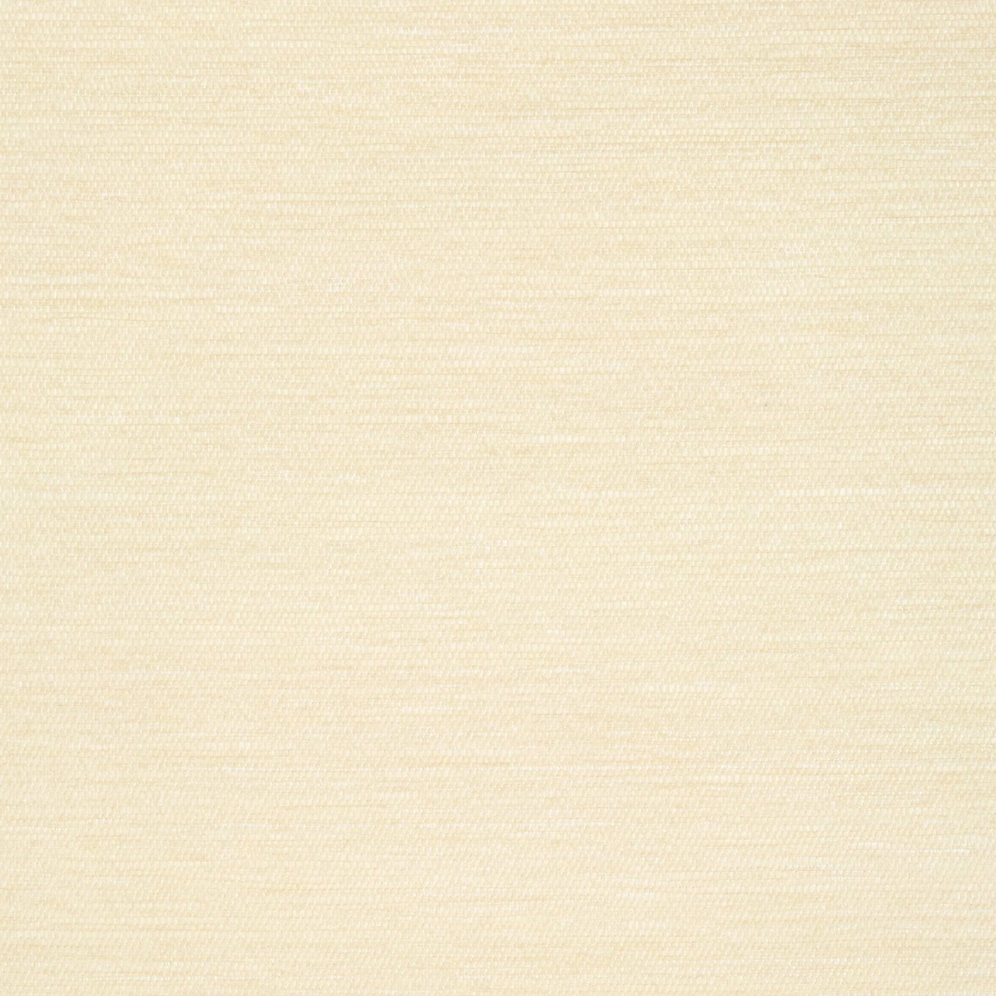 Surfrider Wallpaper - Cream - Thibaut - T13111 - Premier Wallcovering