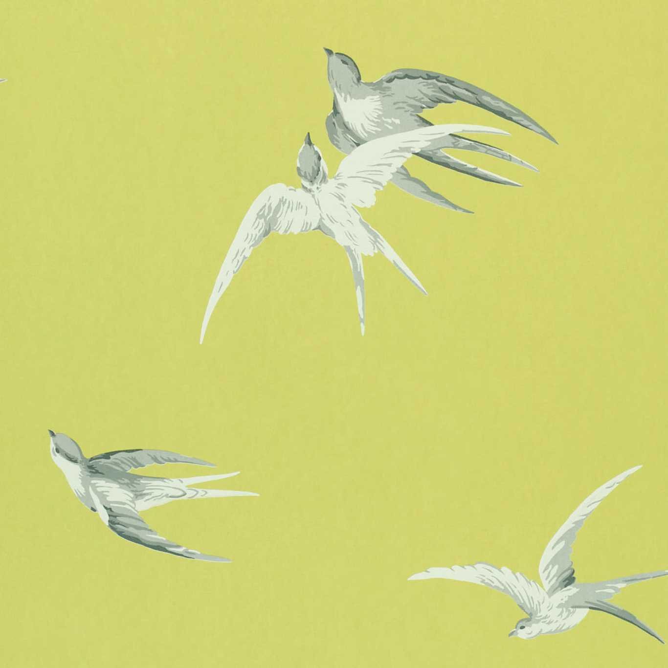 Swallows Wallpaper - Lime - DVIWSW101 - Sanderson - Premier Wallcovering