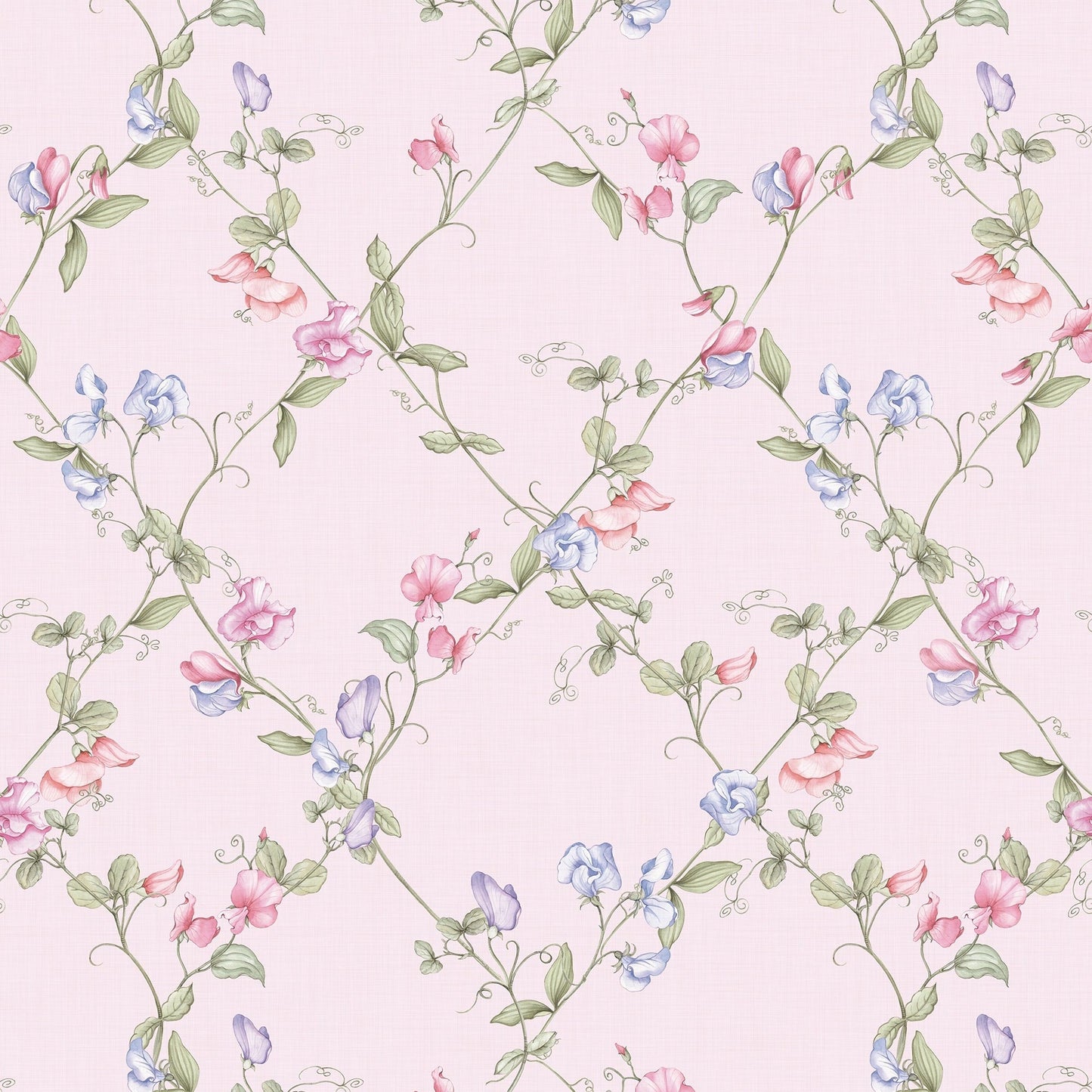 Sweet Pea Wallpaper - Pinks and Lilacs on Pastel Pink - Lucie Annabel - LAN100417 - Premier Wallcovering