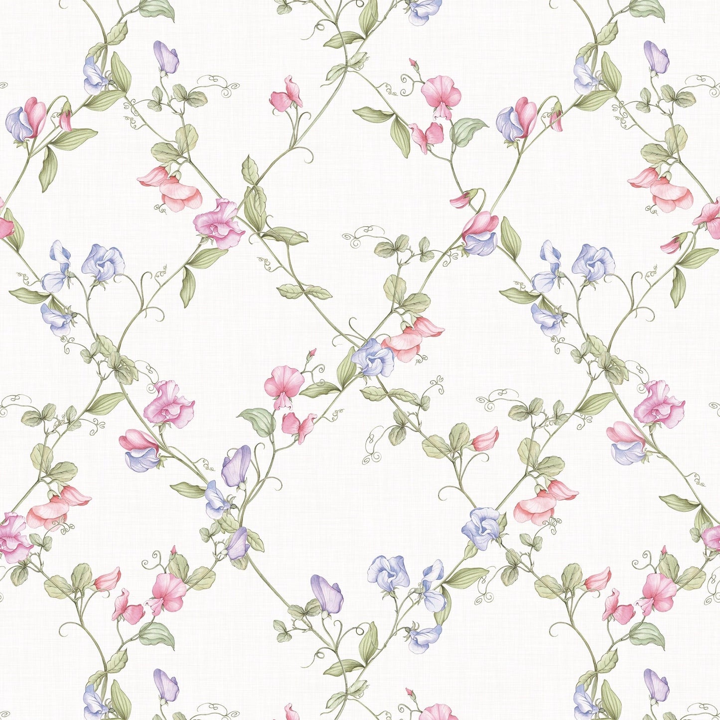 Sweet Pea Wallpaper - Pinks and Lilacs on Vintage Cream - Lucie Annabel - LAN100415 - Premier Wallcovering