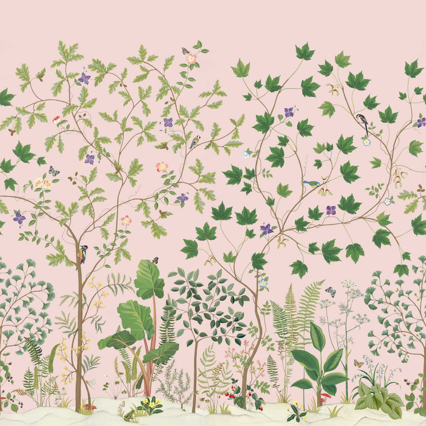 Sycamore and Oak Wallpaper - Wild Rose - DABW217213 - Sanderson - Premier Wallcovering