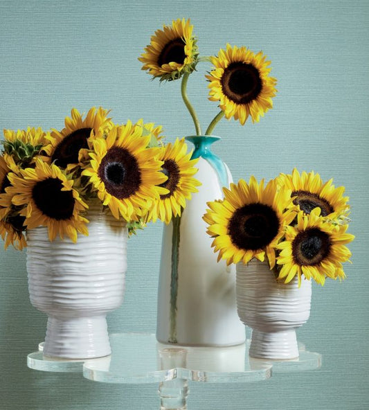 Taluk Sisal Wallpaper - Off White - Thibaut - T281 - Premier Wallcovering