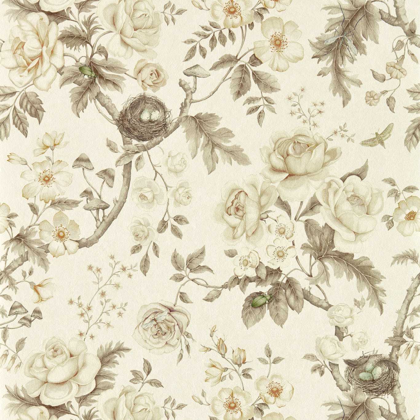 Tansy Bloom Wallpaper - Oyster - DGDW217315 - Sanderson - Premier Wallcovering