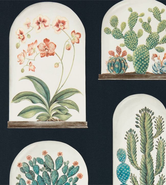Terrariums Wallpaper - Ink/Multi - DGLW216658 - Sanderson - Premier Wallcovering
