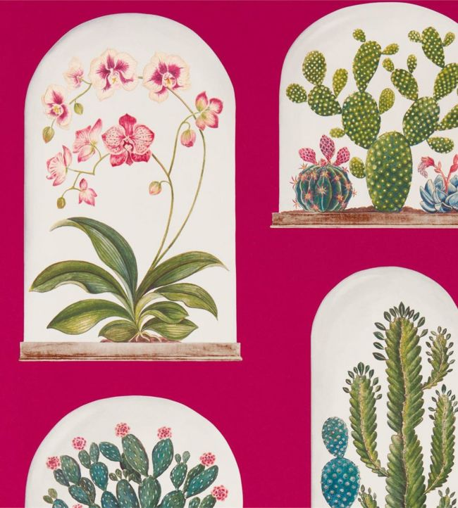 Terrariums Wallpaper - Rhodera/Multi - DGLW216657 - Sanderson - Premier Wallcovering