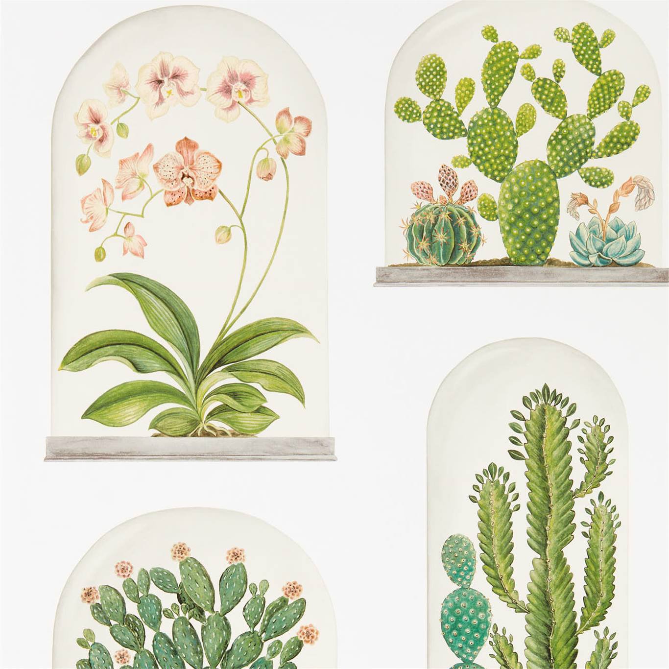 Terrariums Wallpaper - Chalk/Green - Sanderson - DGLW216655 - Premier Wallcovering