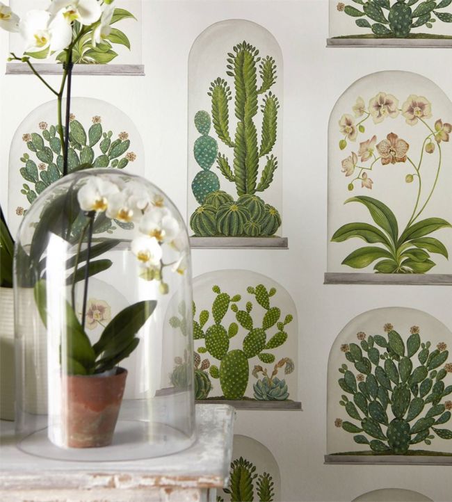 Terrariums Wallpaper - Chalk/Green - DGLW216655 - Sanderson - Premier Wallcovering
