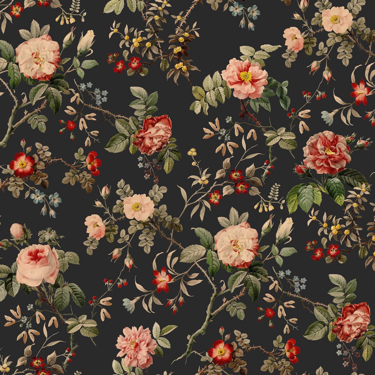 Thorn Rose Petite Wallpaper - Night Light - Rebel Walls - R18528 - Premier Wallcovering