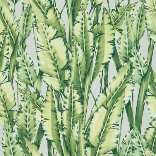 Tiger Leaf Wallpaper - Green - Osborne & Little - W7333-02 - Premier Wallcovering