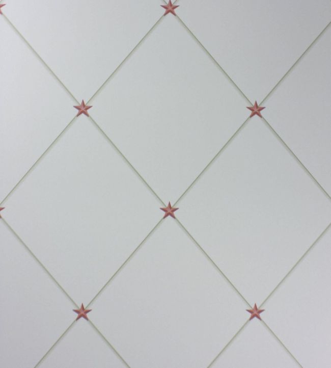Torosay Wallpaper - Coral/Ivory - Nina Campbell - NCW4151 - 02 - Premier Wallcovering