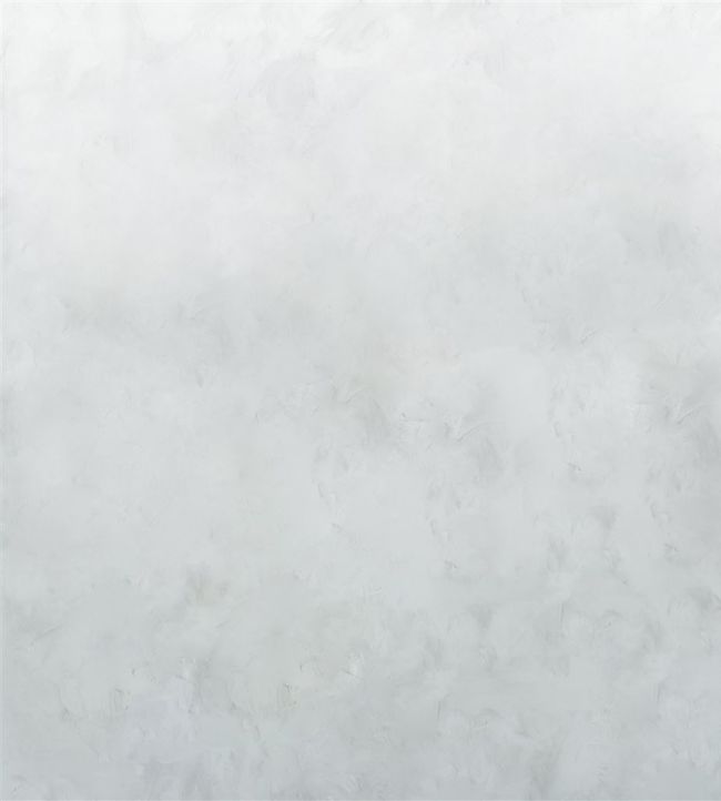 Tourangelle Ombre Wallpaper - Zinc - PDG1101/01 - Designers Guild - Premier Wallcovering