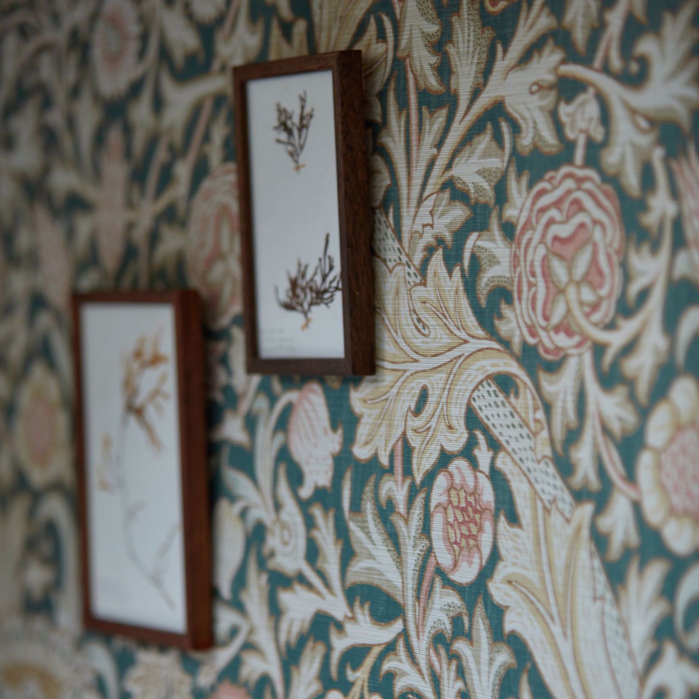Trent Wallpaper - River Wandle - 217210 - Morris & Co - Premier Wallcovering