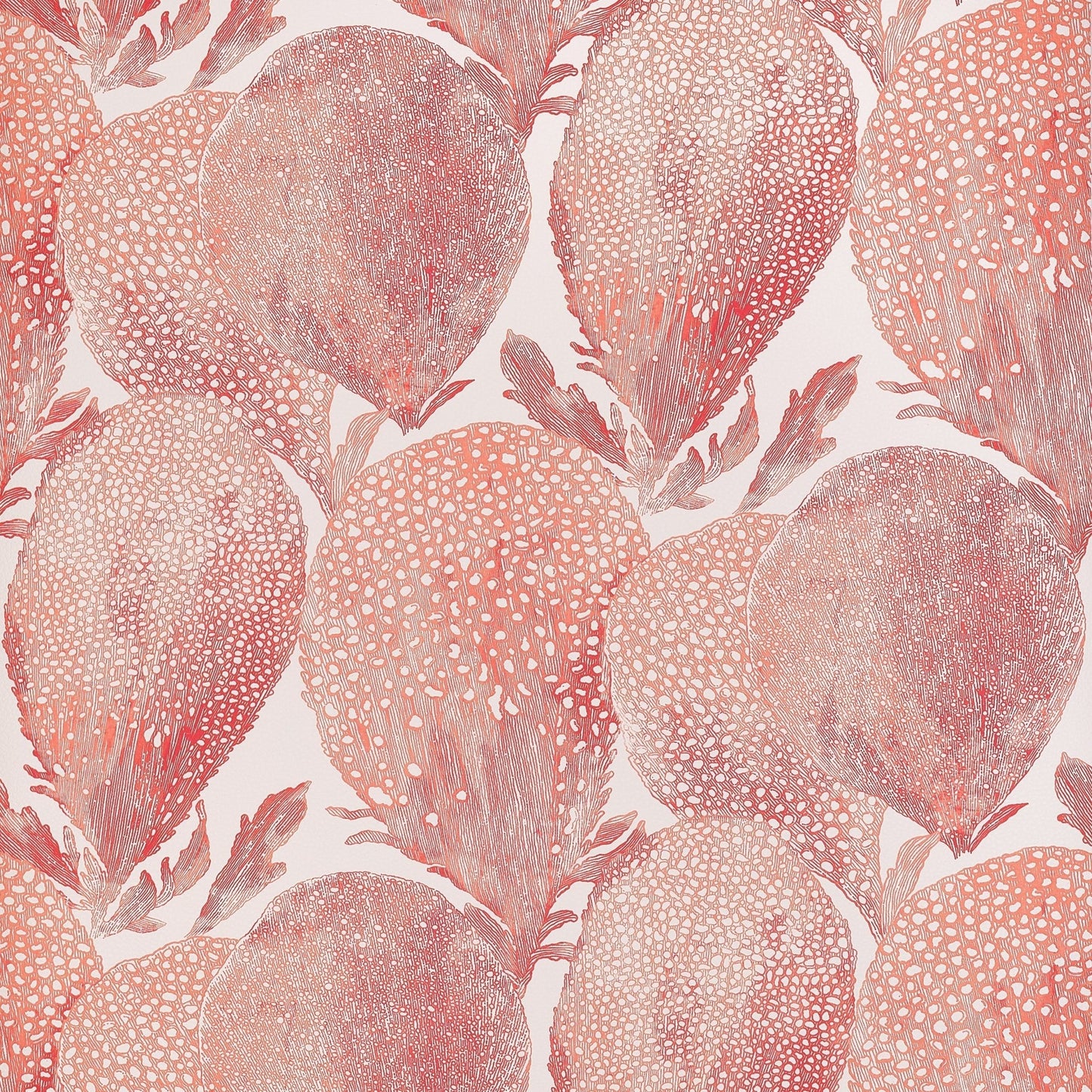 Under The Sea Wallpaper - Coral - Thibaut - T15825 - Premier Wallcovering