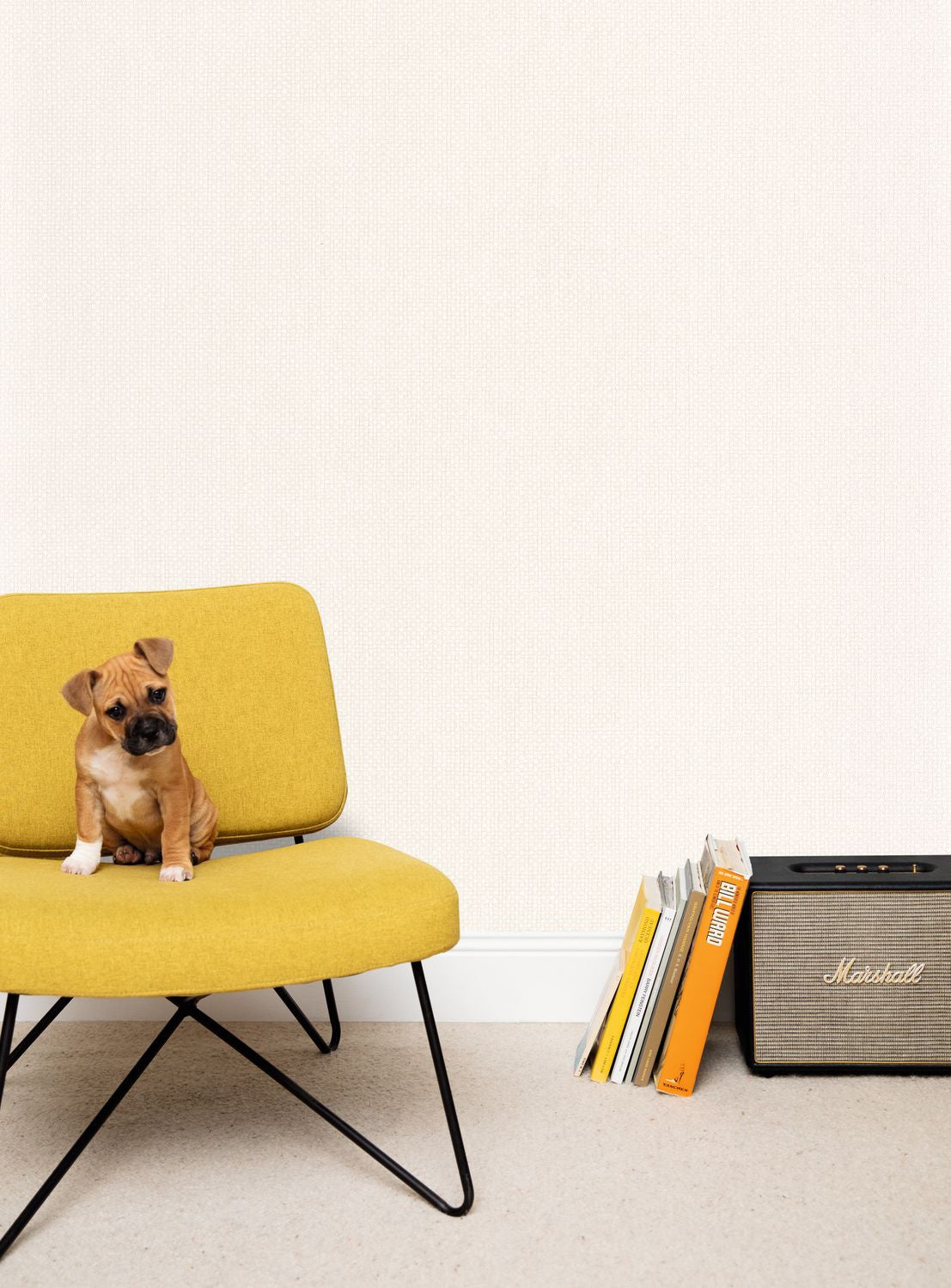 Uni Mat Wallpaper - Lin Clair - Caselio - 104999338 - Premier Wallcovering