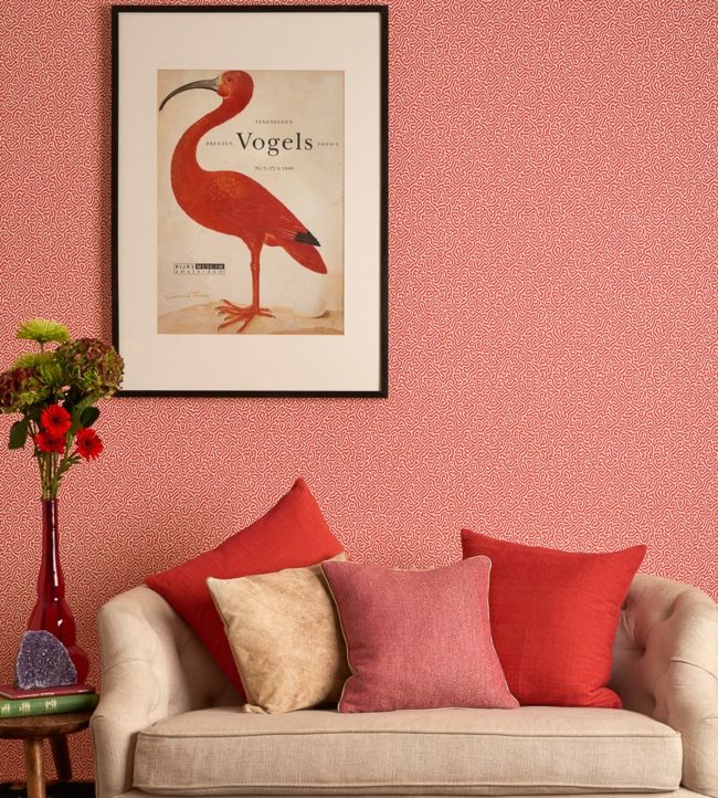 Vermicelli Wallpaper - Rouge on Cream - 107/4018 - Cole & Son - Premier Wallcovering