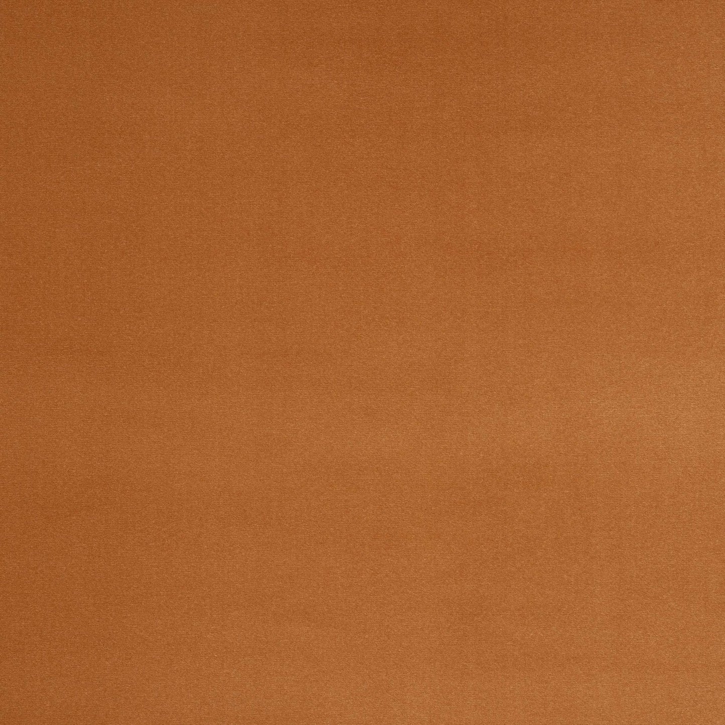 Vito Fabric - Abricot - Manuel Canovas - M4160-18 - Premier Wallcovering