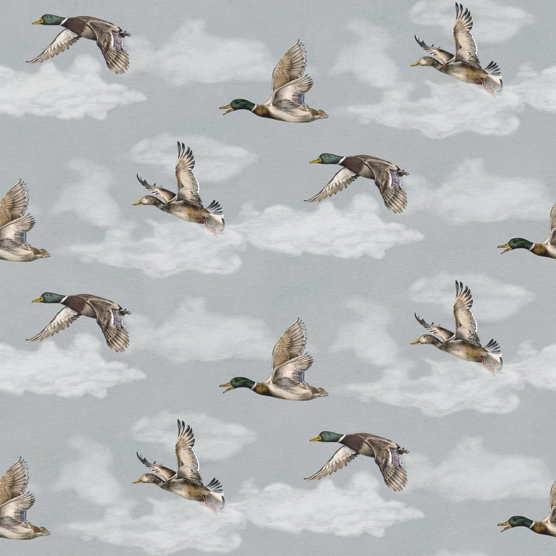 Voyage, Petit Wallpaper - Nordic Grey - Summer Gray - Premier Wallcovering