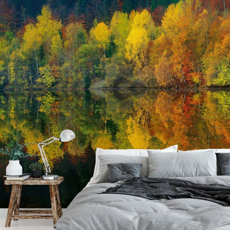 Autumn Forest Lake Wall Mural - Forest - Anaglypta - 5067-8 - Premier Wallcovering
