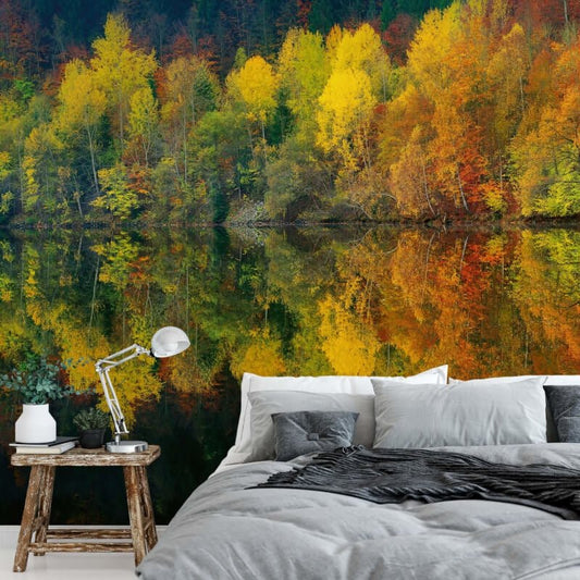 Autumn Forest Lake Wall Mural - Forest - Anaglypta - 5067-8 - Premier Wallcovering