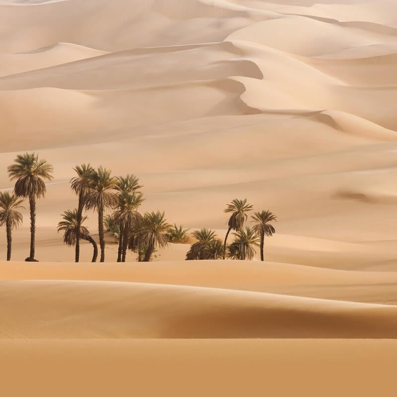 Dune Wall Mural - Multi - Anaglypta - 5458-8 - Premier Wallcovering