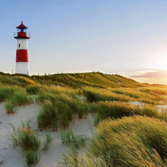 Lighthouse Wall Mural - Blue/Green - Anaglypta - 5417-8 - Premier Wallcovering