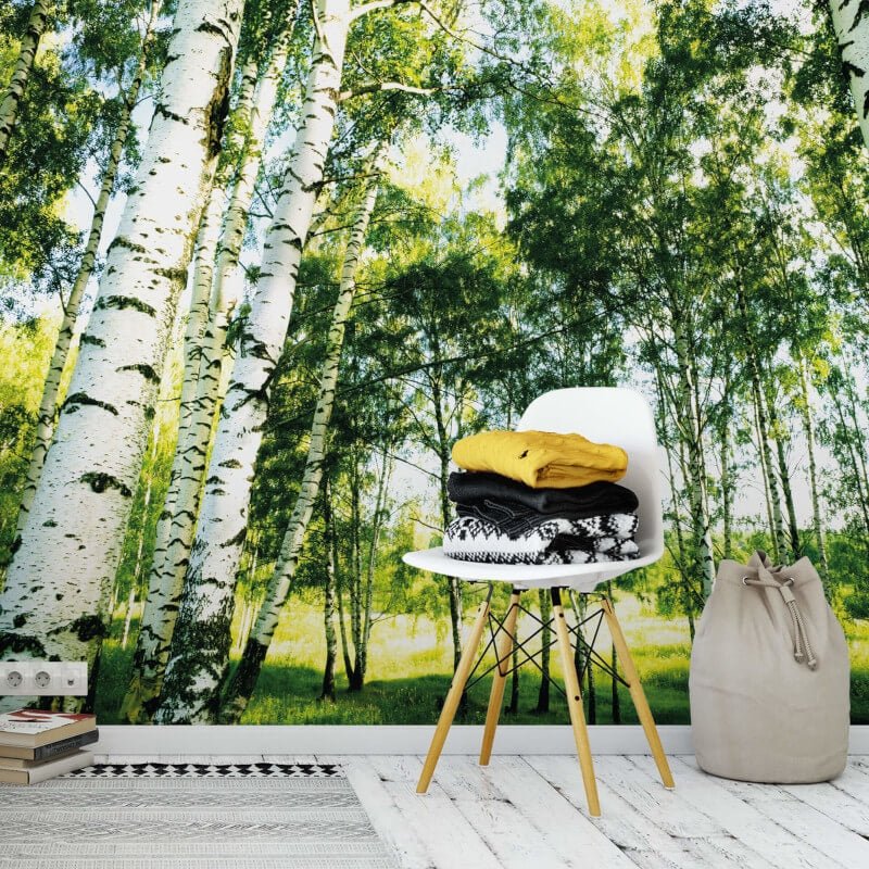 Sunshine Wall Mural - Forest - Anaglypta - 5429-8 - Premier Wallcovering