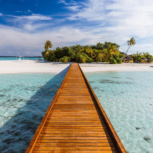 Way to Paradise Wall Mural - Multi - Anaglypta - 5432-8 - Premier Wallcovering